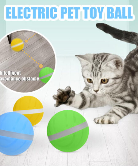 LED Pet Motion Ball
