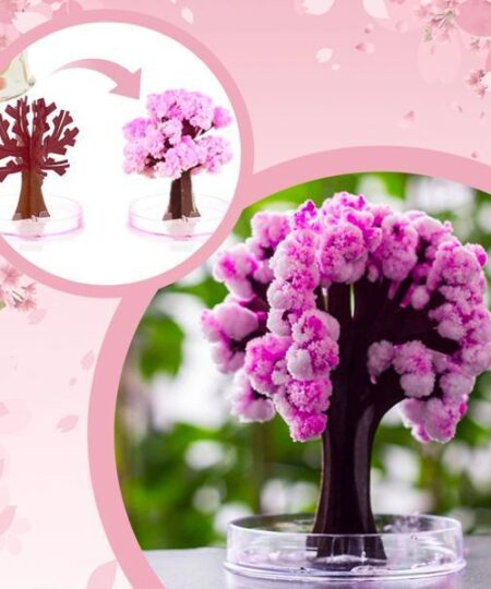 Mini Cherry Blossom Magic Tree