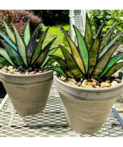 Suncatcher Stained Agave Plante-Buy More Save More