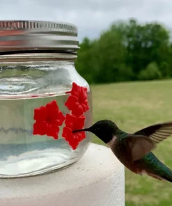 Beautiful Mason Jar Hummingbird Feeder W/Three Ports