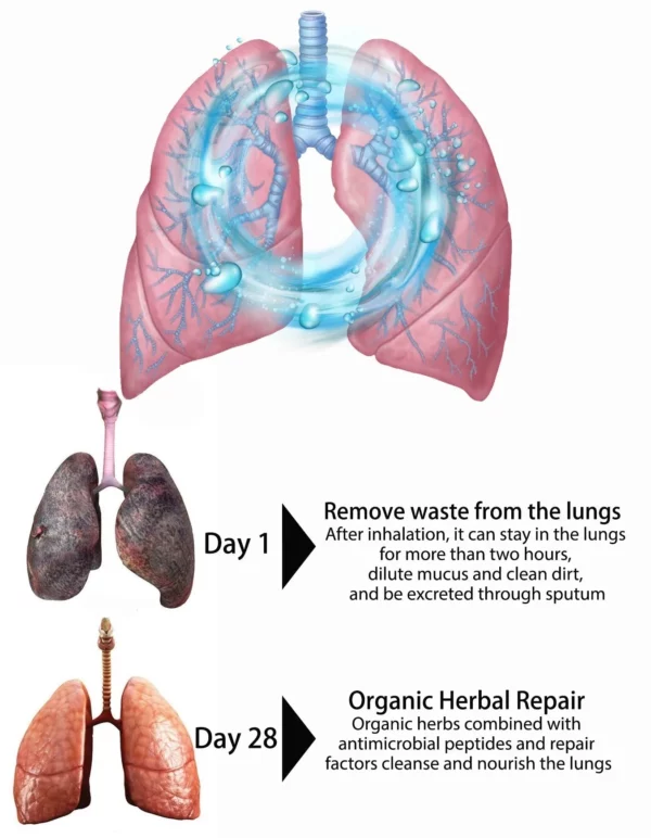 Slimory® Organic Herbal Lung Cleanse & Repair Breathing Stick