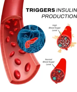 AcuRelief SugarController Acupoint Clip