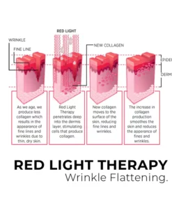 ShapeZ™ EMS Red Light Face Treatment