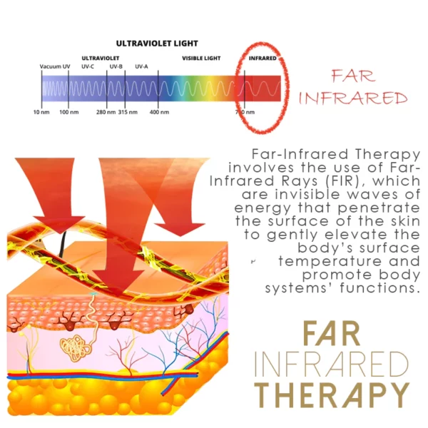 Ricpind BodyDetox Far Infrared Patch - Image 3