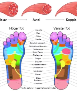 Bio-EMS Akupunktur Fotmassagekudde