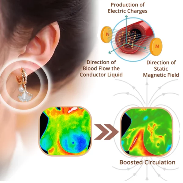 flysmus™ MagneTherapy Germanium Detox Earrings - Image 2