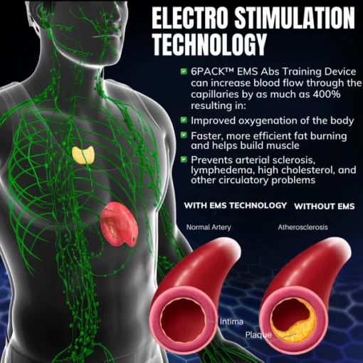 6PACK™ EMS Abs Training Device - Image 4