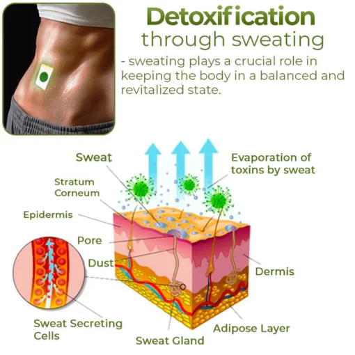 CC™ Perfect Detox Slimming Patch - Image 4