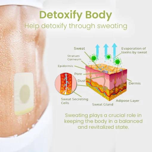 Ceoerty™ SlimCleanse Detox Patch - Image 5