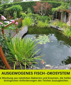 Fivfivgo™ Algizid für Aquarien