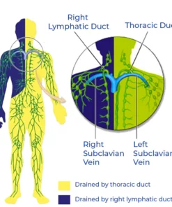 GFOUK™ Ultrasonic Lymphatic Soothing Instrument