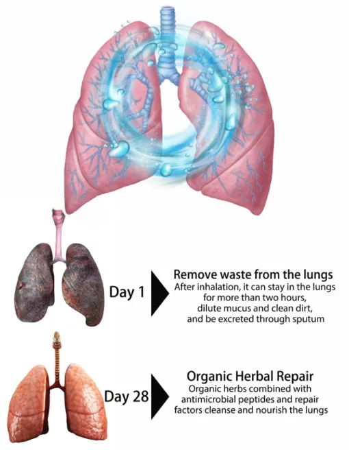 Meellop™ Organic Herbal Lung Cleanse & Repair Nasal Spray PRO - Image 5