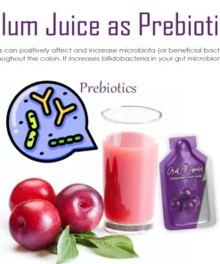 ATTDX GutWellness Concentrated Plum Juice