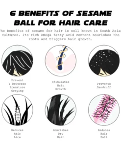 ATTDX Hair Follicle Renewal Black Sesame Ball