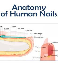 ATTDX NailRepair Fungus Treatment Pen