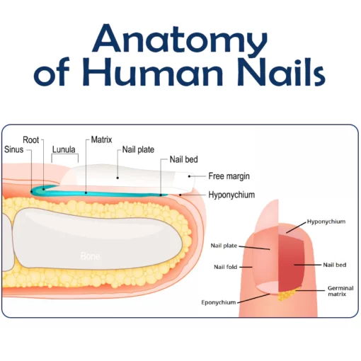 ATTDX NailRepair Fungus Treatment Pen