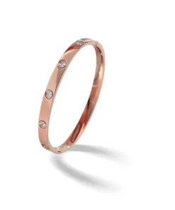 CC™ Carly Mineral Detoxify Bangle