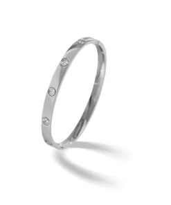 CC™ Carly Mineral Detoxify Bangle