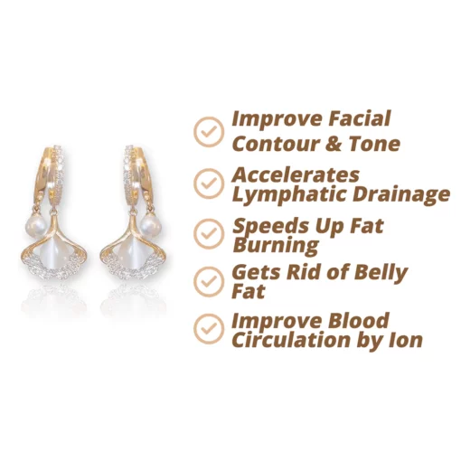 FLYSMUS™ MAGNET THERAPY GERMANY DETOX EARRINGS