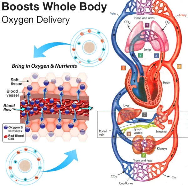 TrimSync™ Ultra Strength Magnetic Spot Therapy Patch