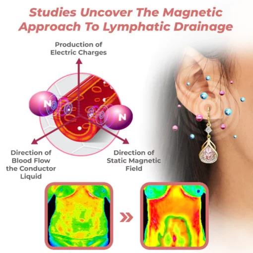 Lymph Flow Magnetogen Earrings - Image 2