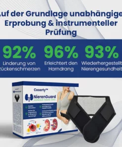 Ceoerty™ NierenGuard Akupressur-Therapie-Gürtel