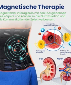 Ceoerty™ NierenGuard Akupressur-Therapie-Gürtel