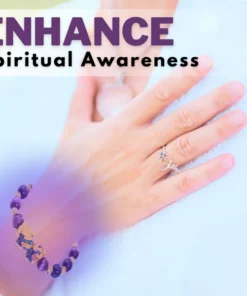 ZENAURA™ Feng Shui Pi Xiu Amethyst Bracelet