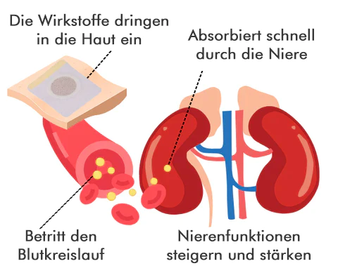 AEXZR™ Nierenpflege-Pflaster