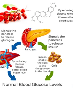 GFOUK ™SugarSync Health Control Aerosolizer