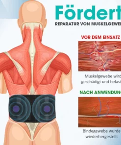 AEXZR™ Akupressur Gürtel zur Rückenentlastung