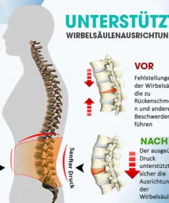 AEXZR™ Akupressur Gürtel zur Rückenentlastung