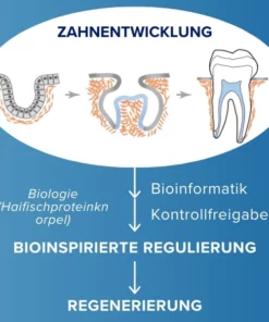 AEXZR™ Zahnnachwuchsstreifen aus Haifischknorpelprotein