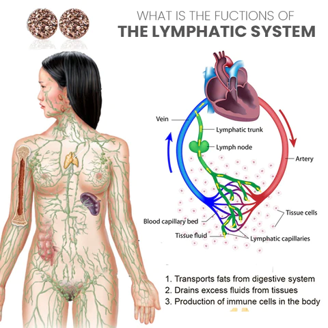 CZTICLE™Magnetologie Lymphvity Germanium Ohrringe