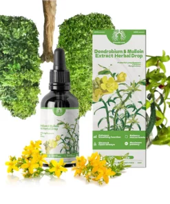 BREATHE-RIGHT DENDROBIUM & MULLEIN EXTRACT: POWERFUL LUNG SUPPORT CLEANSE & RESPIRATORY