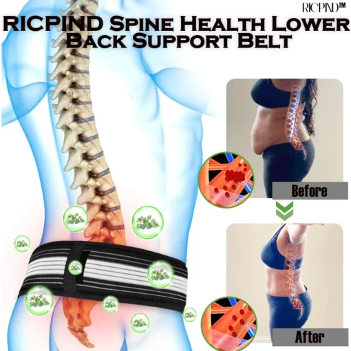 RICPIND Spine Health Lower Back Support Belt