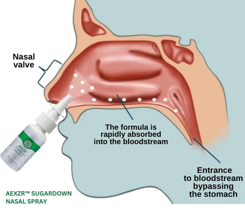 KISSHI™ SugarDown Nasal Spray - Not Sold In Stores