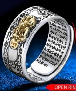 Feng Shui Pixiu Wealth & Protection Ring