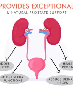 Seurico™ Kidney Care Patch