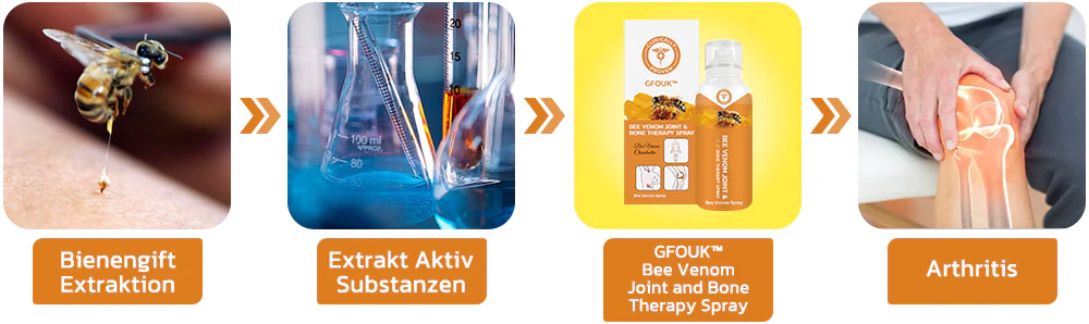 GFOUK™ Bienengift Gelenk- und Knochentherapie Spray
