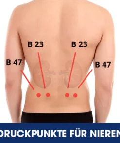 AEXZR™ Akupressur Nierenpflege-Gürtel