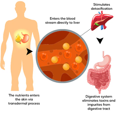 AQA™ Stomach Relief Oil