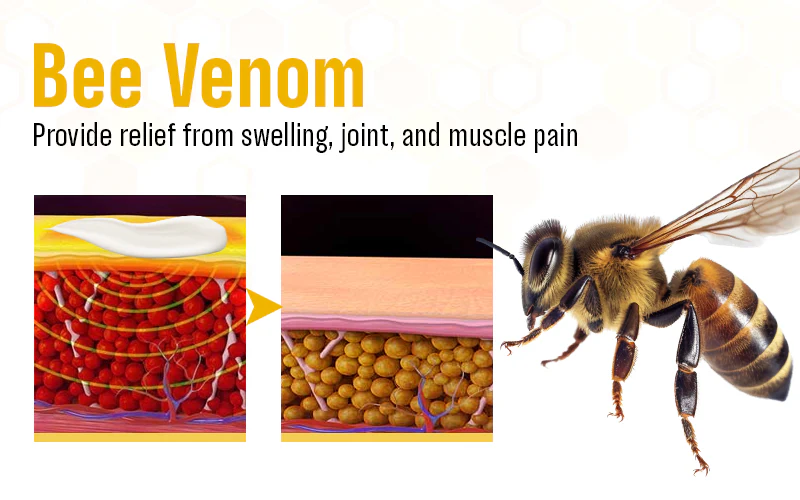 Biancat™ SizzlingGlow Bee Venom Anti-Swelling Cream