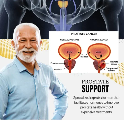 Prostate Therapy Capsules - Supporting Healthy Prostate Function