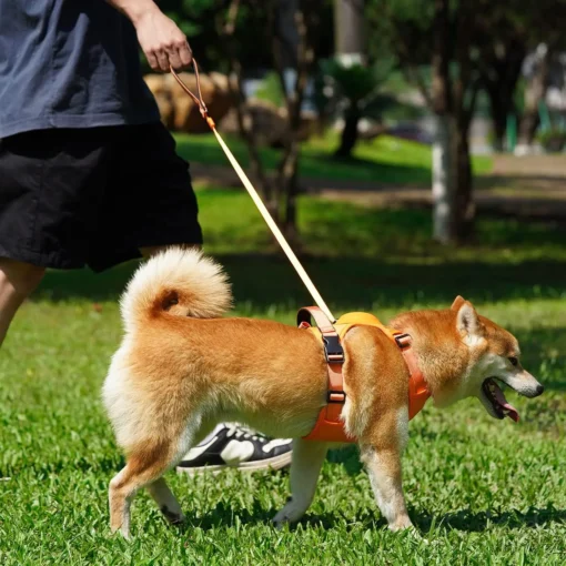 Pawsease™ Dog Harness with Integrated Retractable Lead