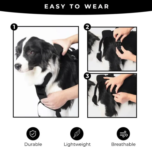 Pawsease™ Dog Harness with Integrated Retractable Lead