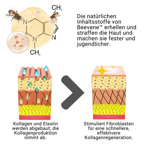 Beevene™ Augenpeptid Creme