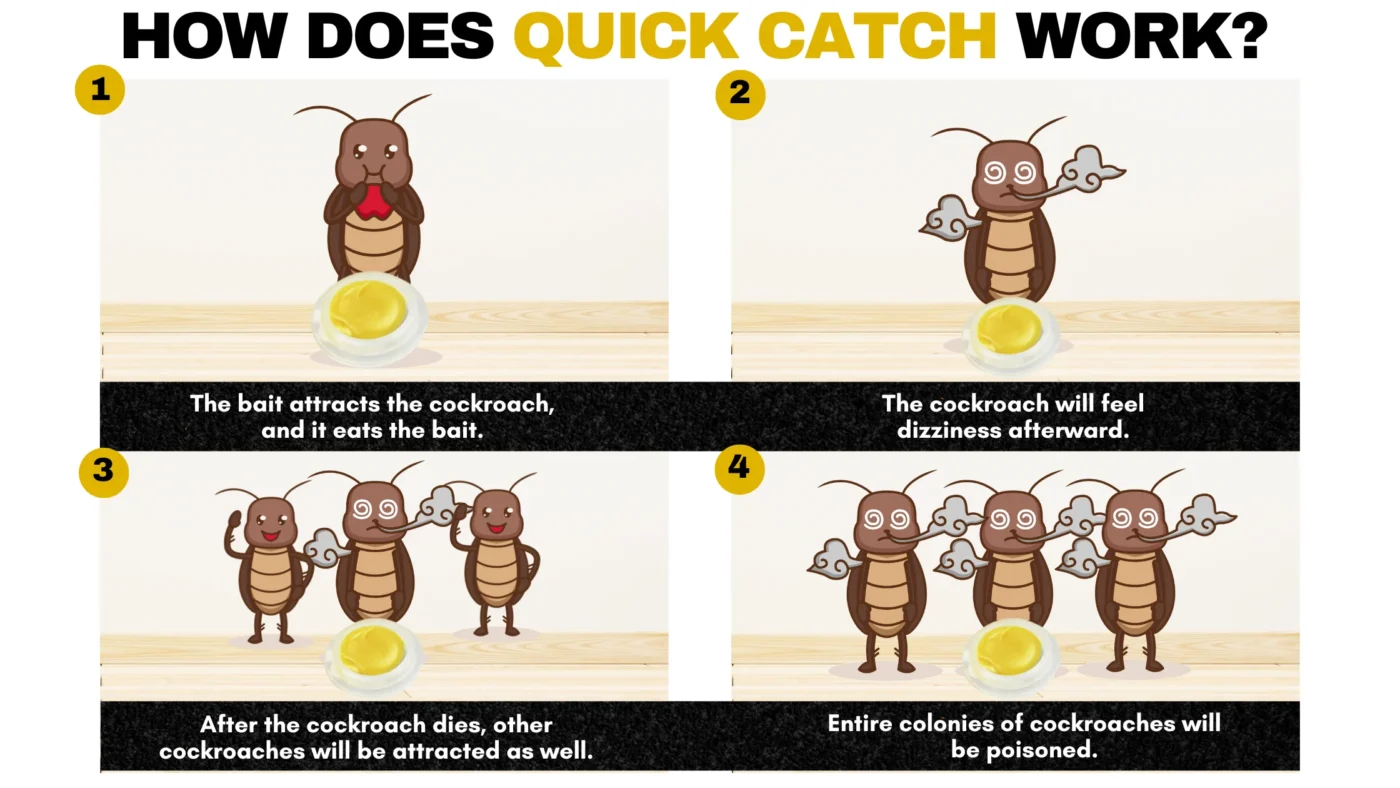 Dobshow QuikCatch Killer RoachAce Bait Station