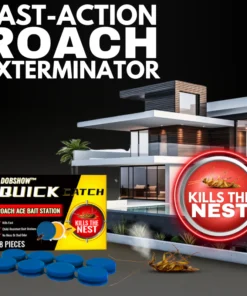 Dobshow QuikCatch Killer RoachAce Bait Station