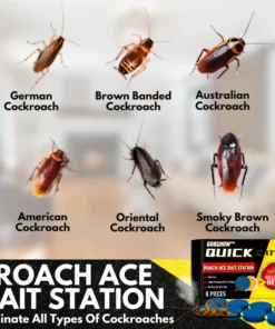 Dobshow QuikCatch Killer RoachAce Bait Station